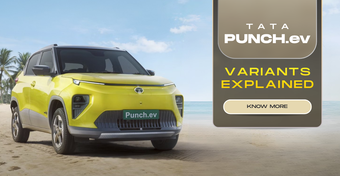 Punch Ev Variant Explained